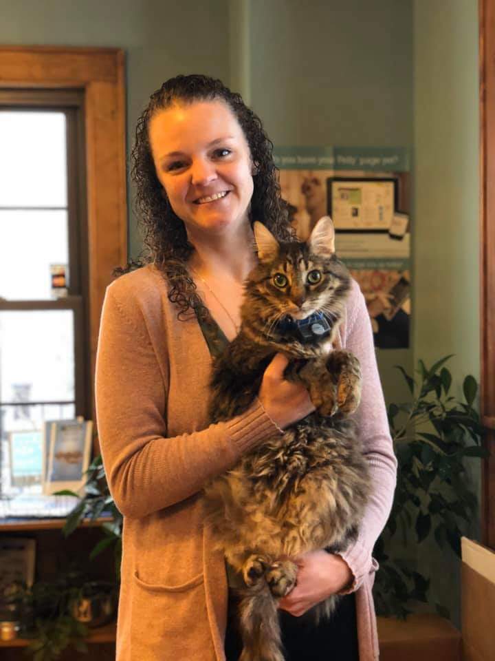 Our Staff Riverside Cat Hospital Okemos, MI