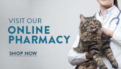online pharmacy button online pharmacy button