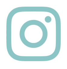 instagram  icon