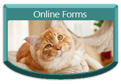 Online Forms button