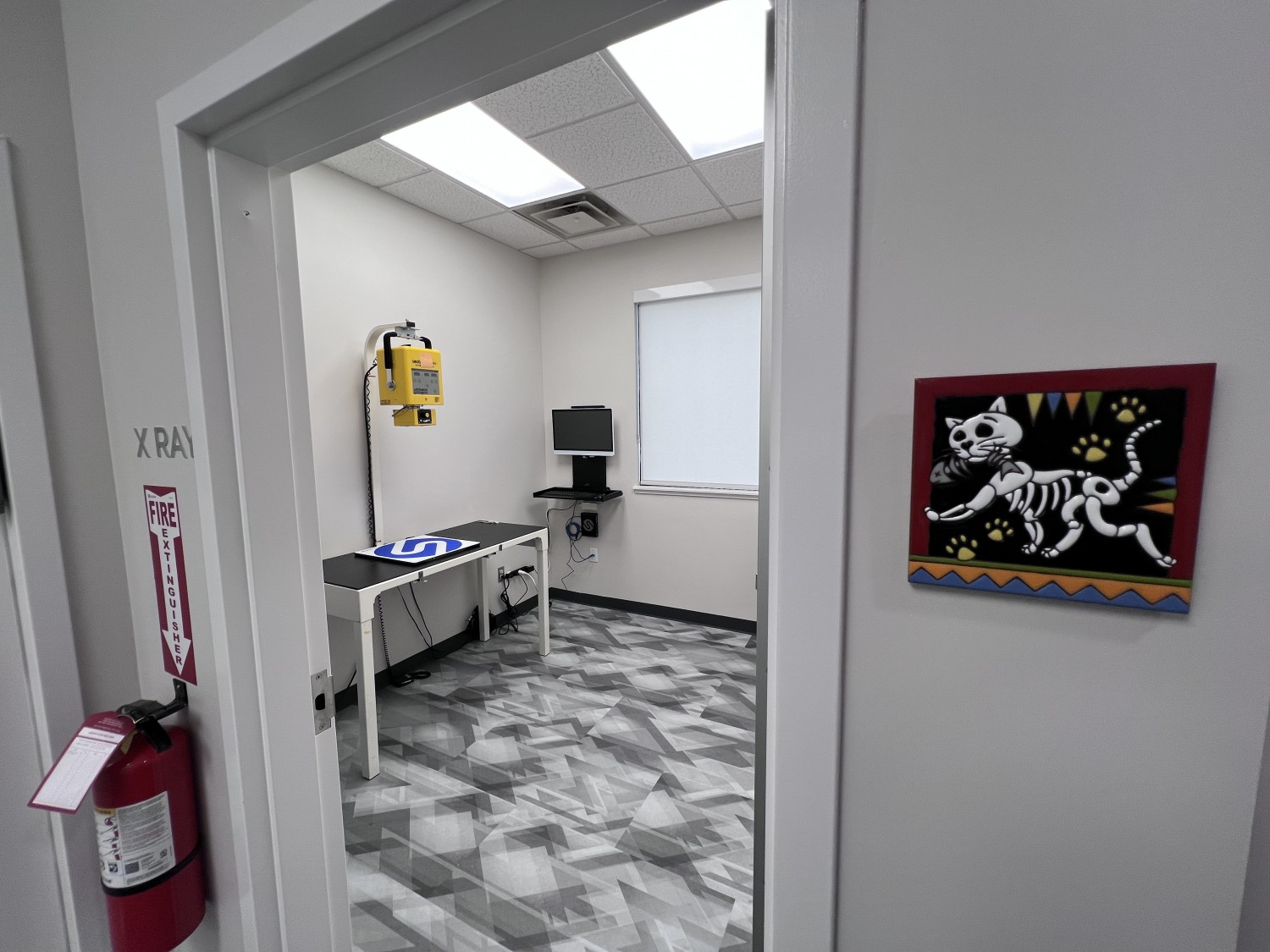 radiology