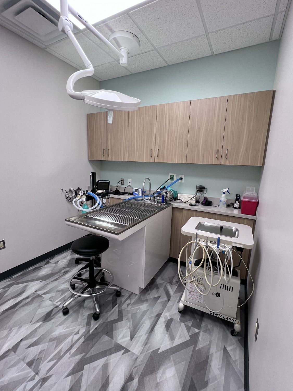 dentistry